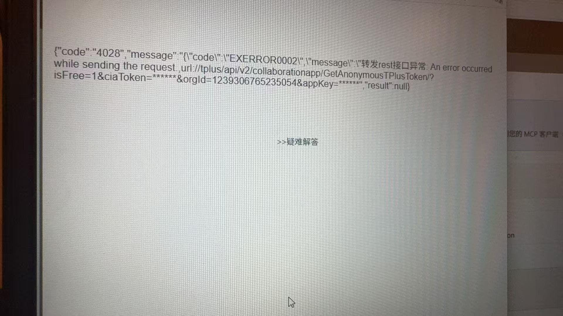 mcphub 授权后 4028 报错示例