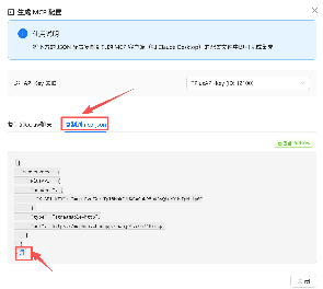 复制 JSON 配置文件