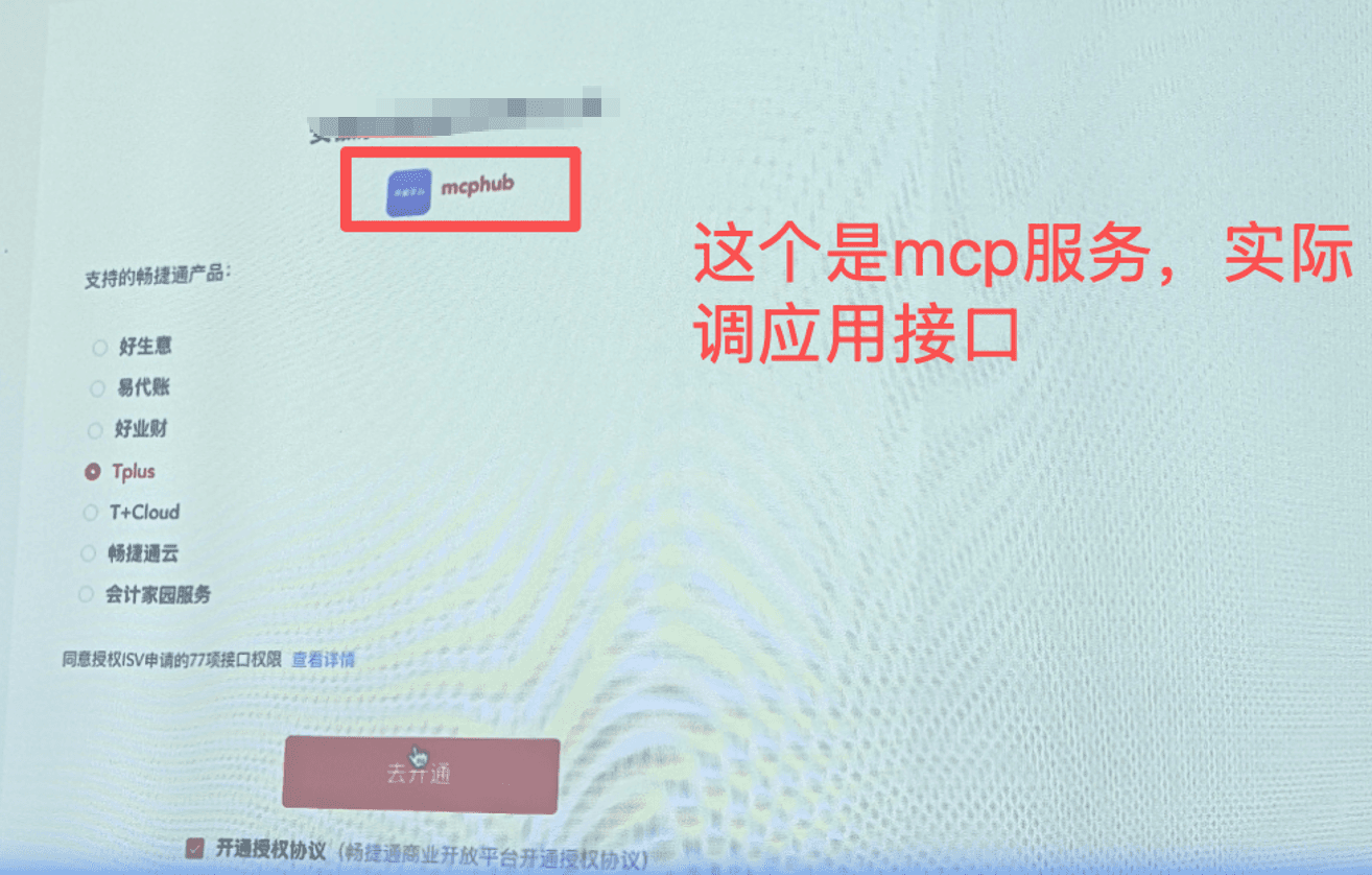 Tplus 主应用授权示例