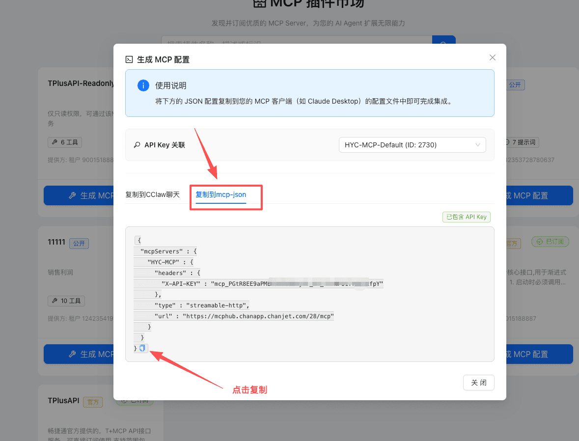 复制 mcp-json 配置